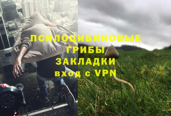 ПСИЛОЦИБИНОВЫЕ ГРИБЫ Елизово