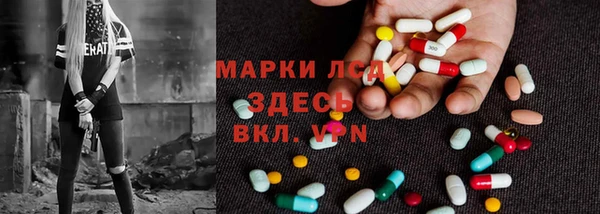 ПСИЛОЦИБИНОВЫЕ ГРИБЫ Елизово