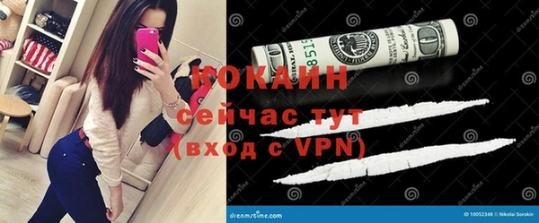ПСИЛОЦИБИНОВЫЕ ГРИБЫ Елизово